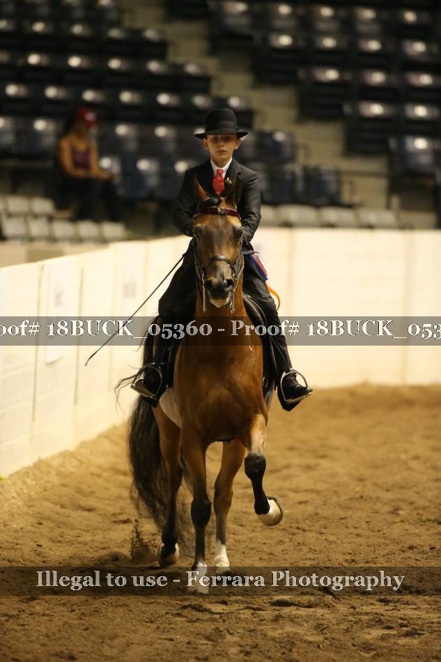 Proof 18BUCK_05360