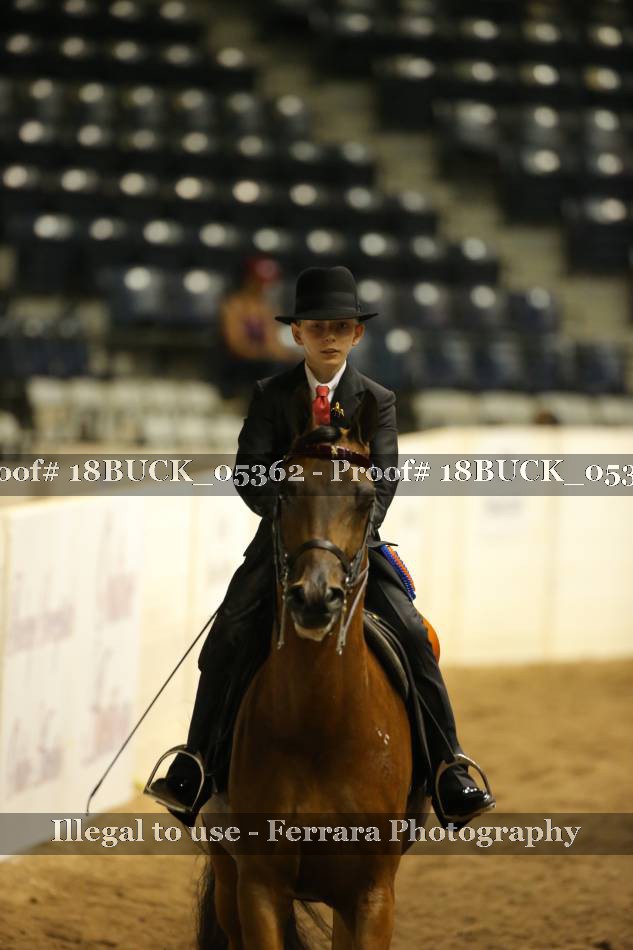 Proof 18BUCK_05362