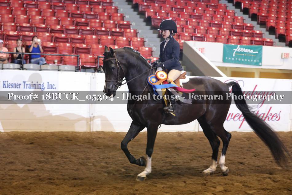 Proof 18BUCK_05364