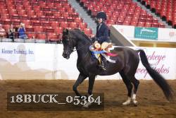18BUCK_05364 proof