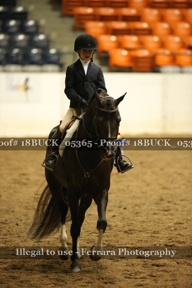 Proof 18BUCK_05365