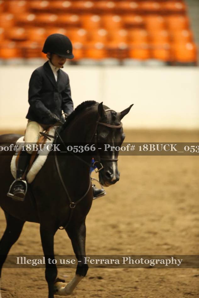 Proof 18BUCK_05366