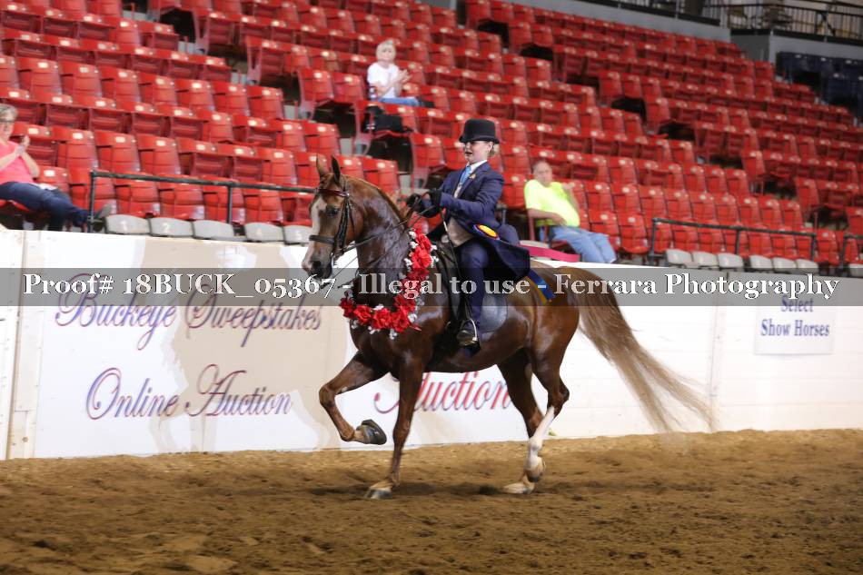 Proof 18BUCK_05367