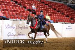 18BUCK_05367 proof