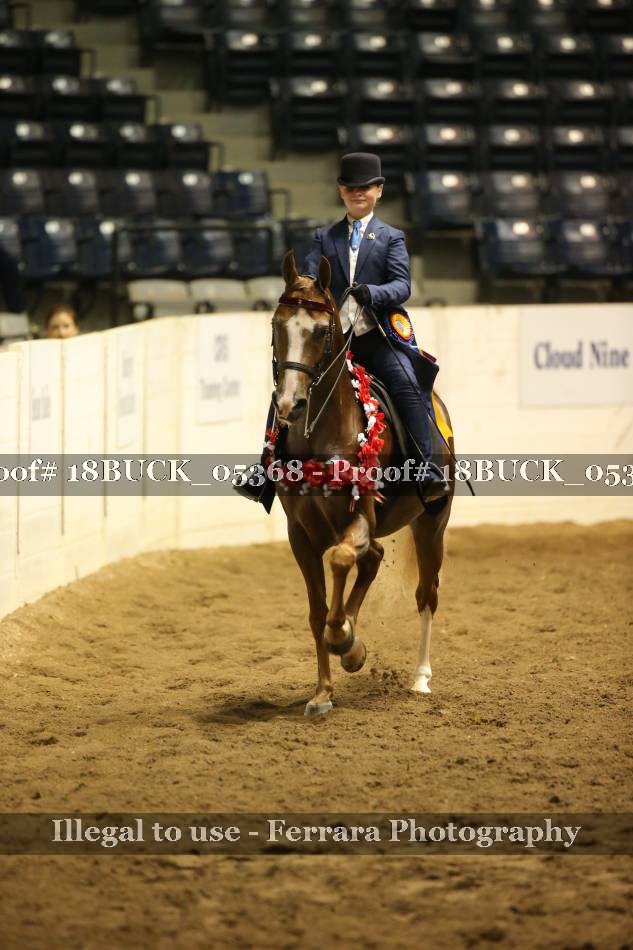 Proof 18BUCK_05368