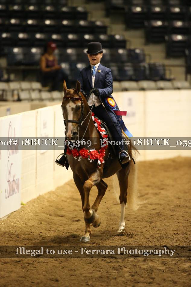 Proof 18BUCK_05369