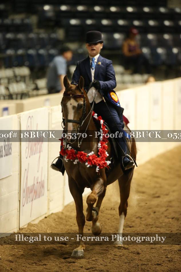 Proof 18BUCK_05370