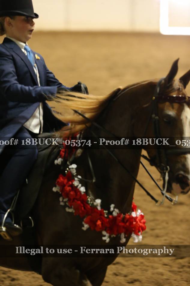 Proof 18BUCK_05374