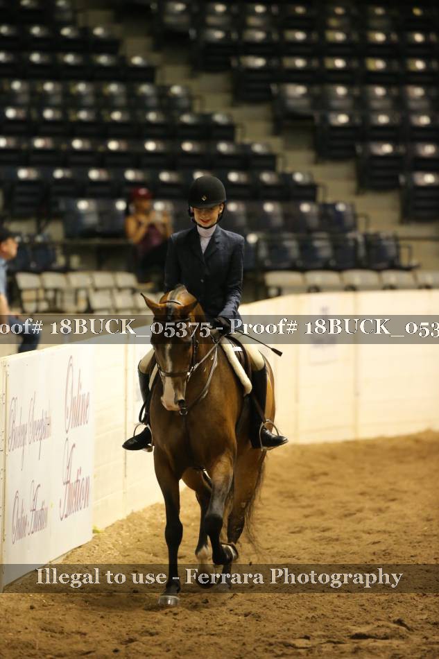 Proof 18BUCK_05375