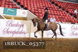 18BUCK_05377 proof