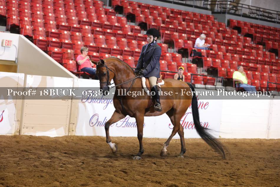Proof 18BUCK_05380