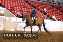 18BUCK_05380 proof