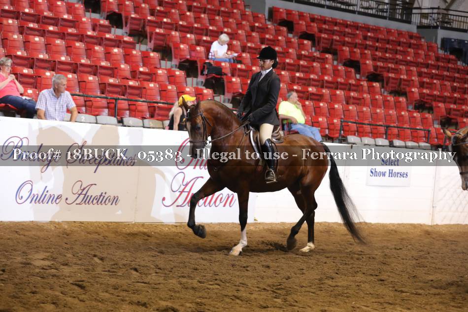 Proof 18BUCK_05383