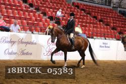 18BUCK_05383 proof