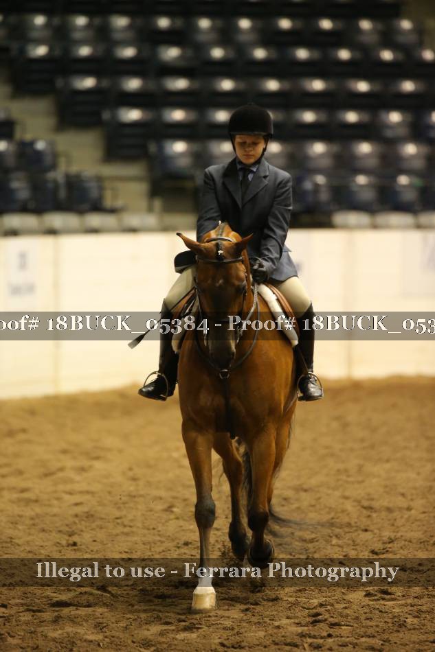 Proof 18BUCK_05384