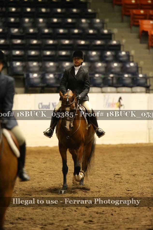 Proof 18BUCK_05385