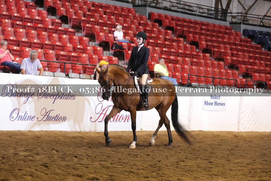 Proof 18BUCK_05386