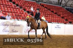 18BUCK_05386 proof
