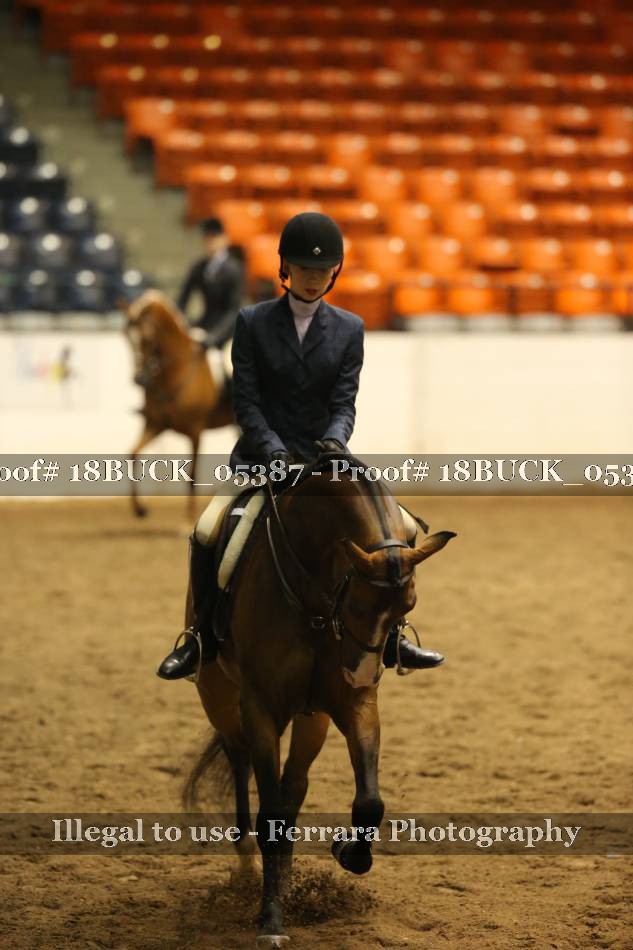 Proof 18BUCK_05387