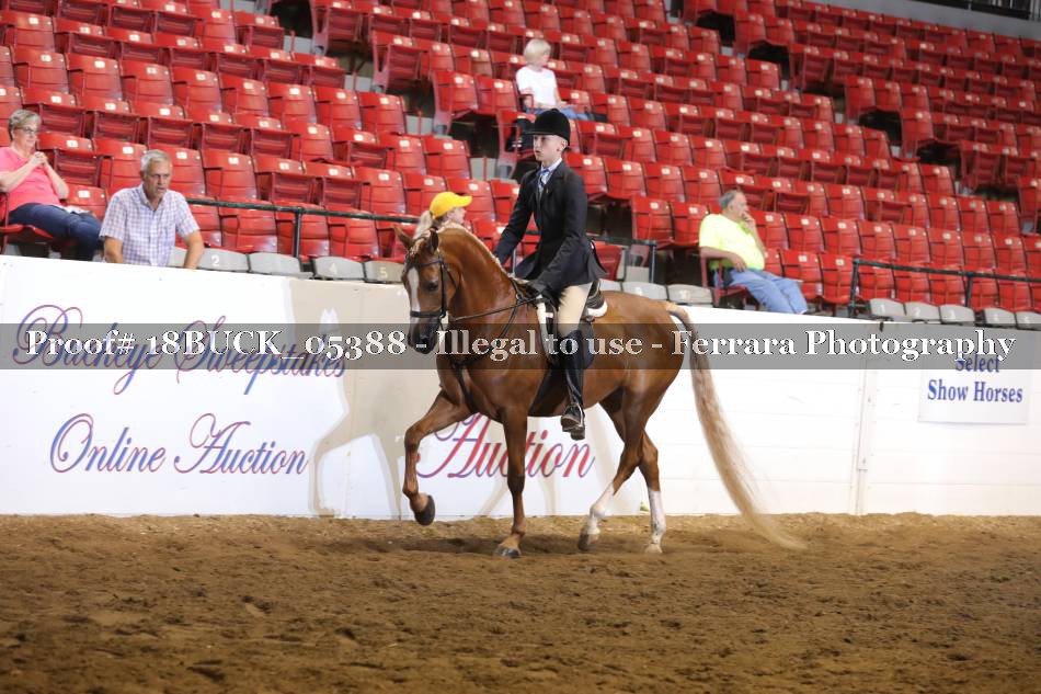 Proof 18BUCK_05388