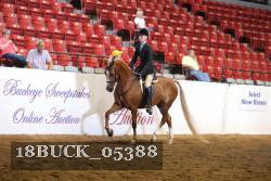 18BUCK_05388 proof