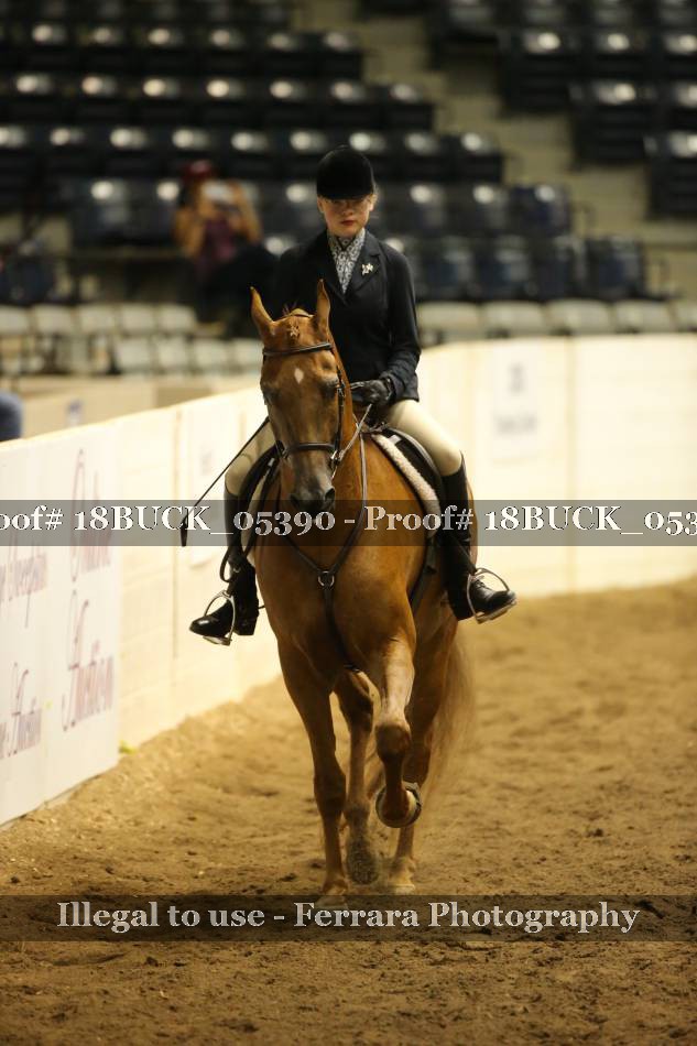 Proof 18BUCK_05390