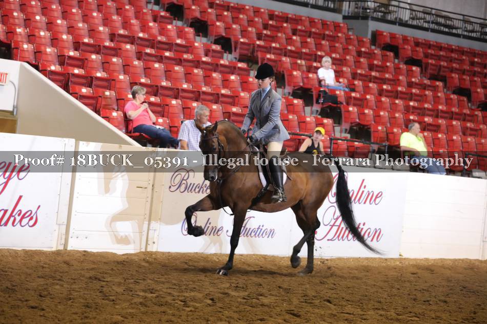 Proof 18BUCK_05391