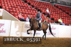 18BUCK_05391 proof