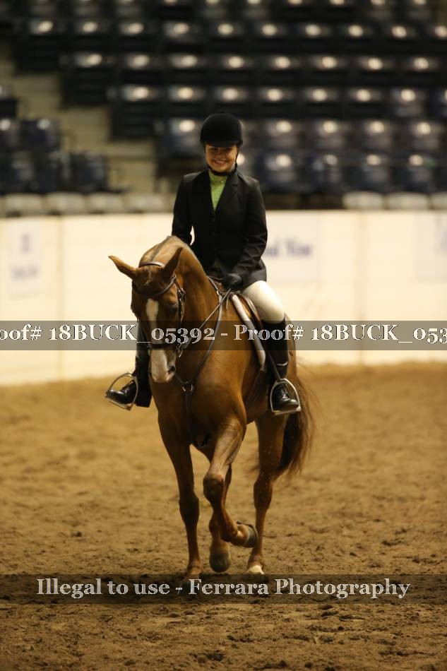 Proof 18BUCK_05392