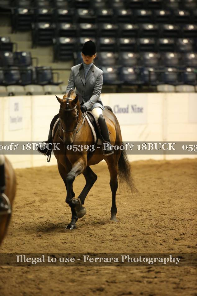 Proof 18BUCK_05393