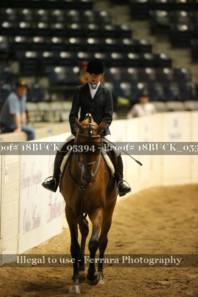 Proof 18BUCK_05394