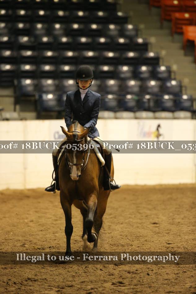 Proof 18BUCK_05396