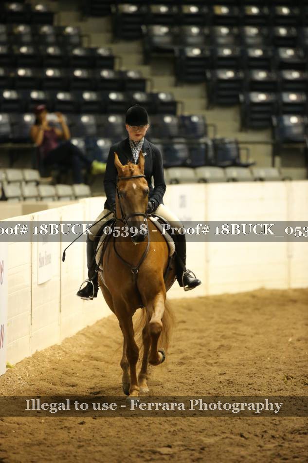 Proof 18BUCK_05398