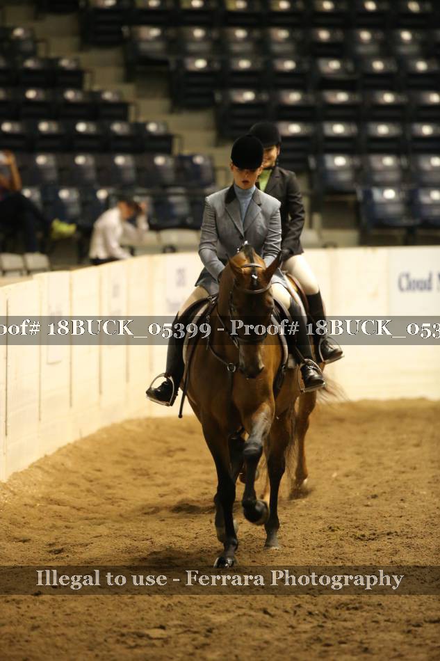 Proof 18BUCK_05399
