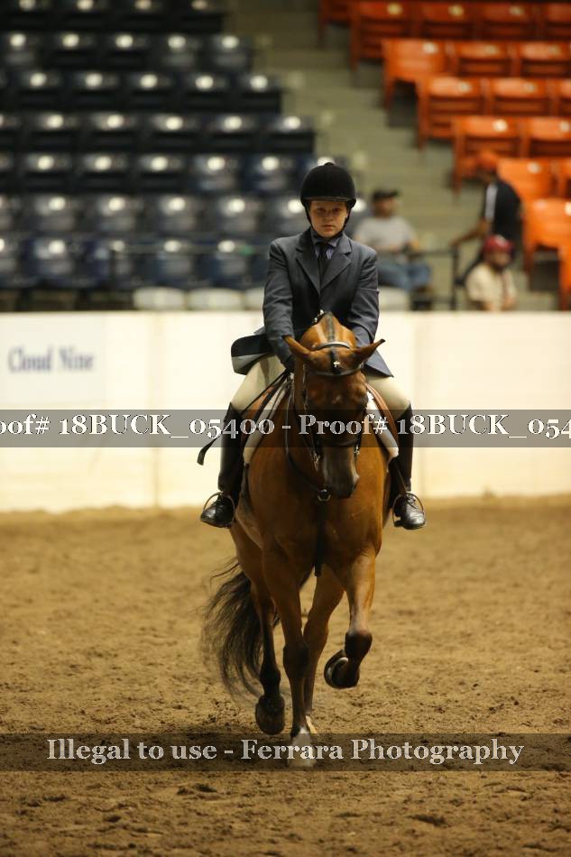 Proof 18BUCK_05400