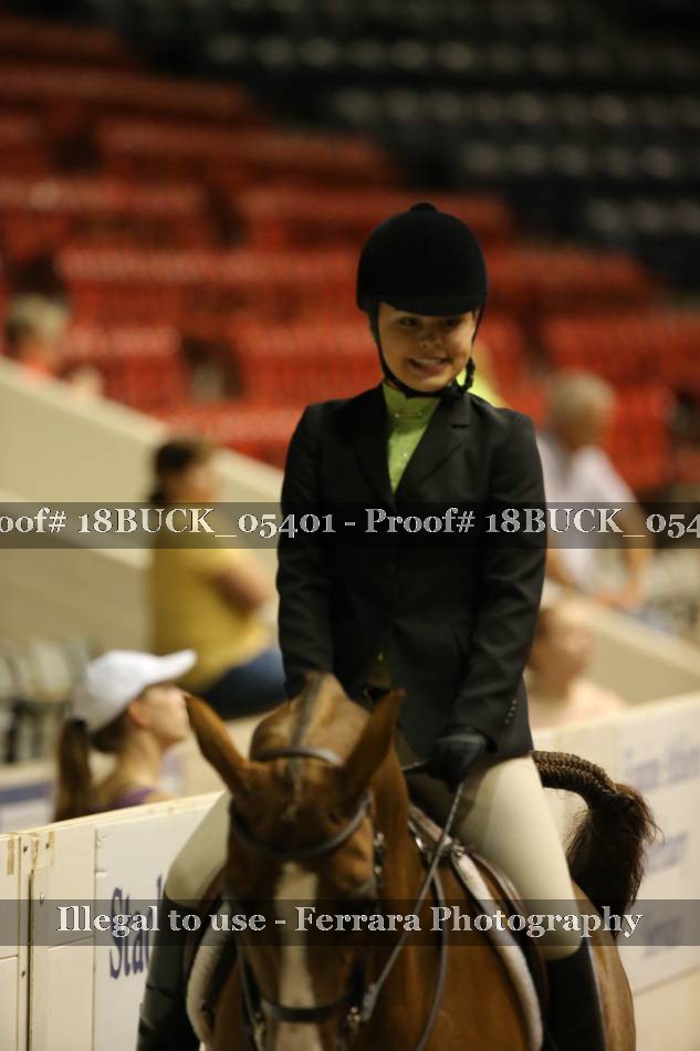Proof 18BUCK_05401