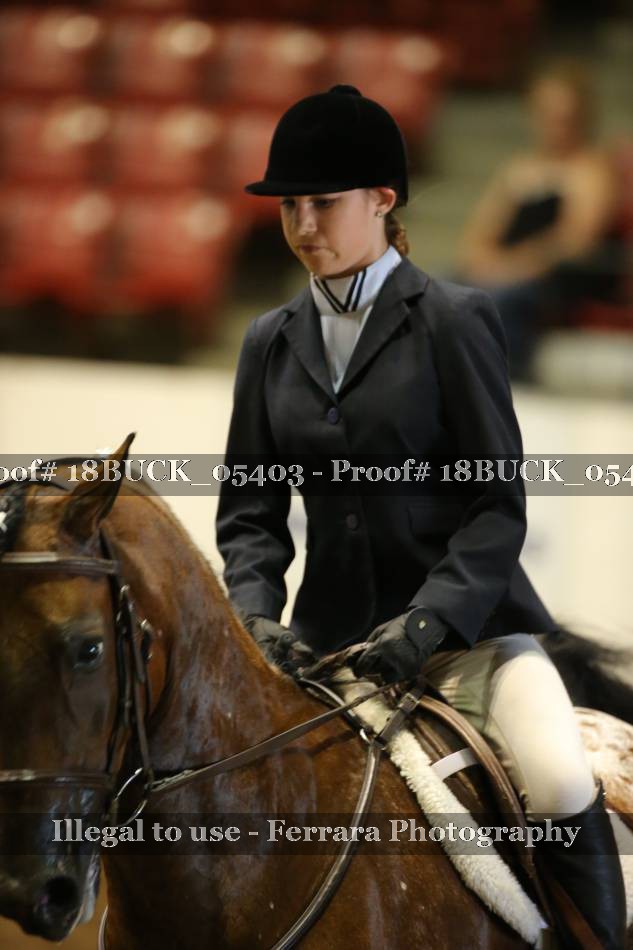 Proof 18BUCK_05403