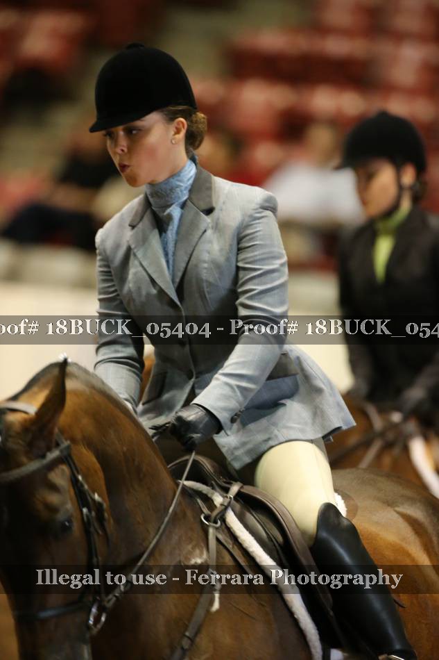 Proof 18BUCK_05404