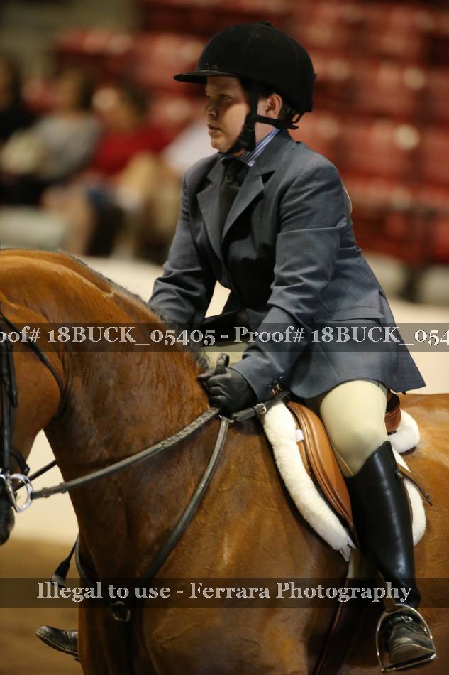 Proof 18BUCK_05405