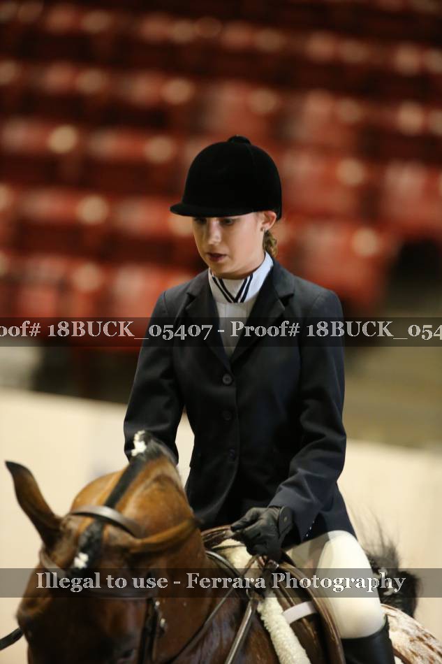 Proof 18BUCK_05407