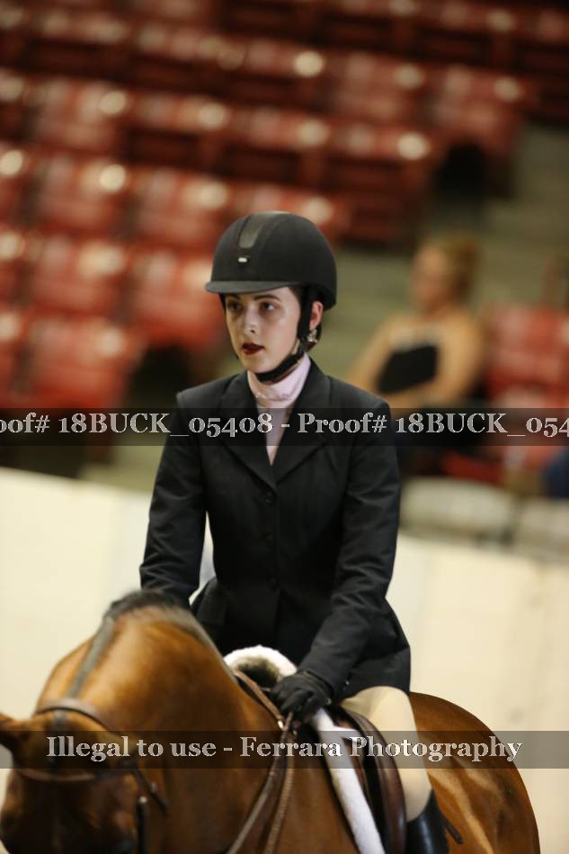 Proof 18BUCK_05408