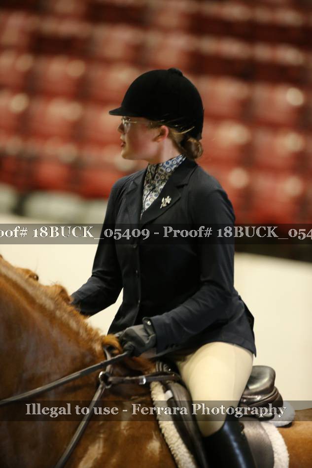 Proof 18BUCK_05409