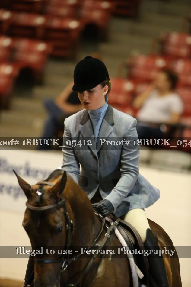 Proof 18BUCK_05412