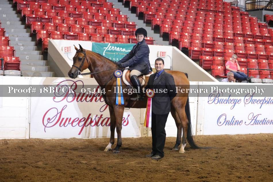 Proof 18BUCK_05414