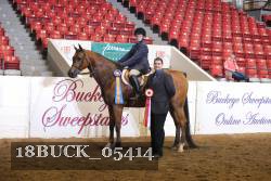 18BUCK_05414 proof