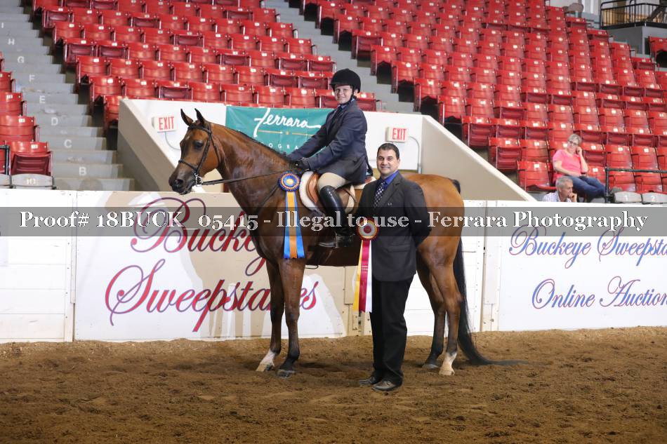 Proof 18BUCK_05415
