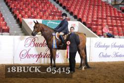 18BUCK_05415 proof