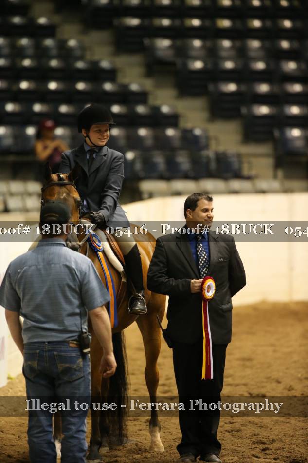 Proof 18BUCK_05416