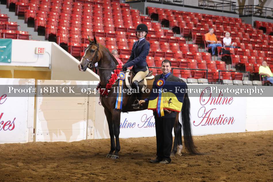 Proof 18BUCK_05417