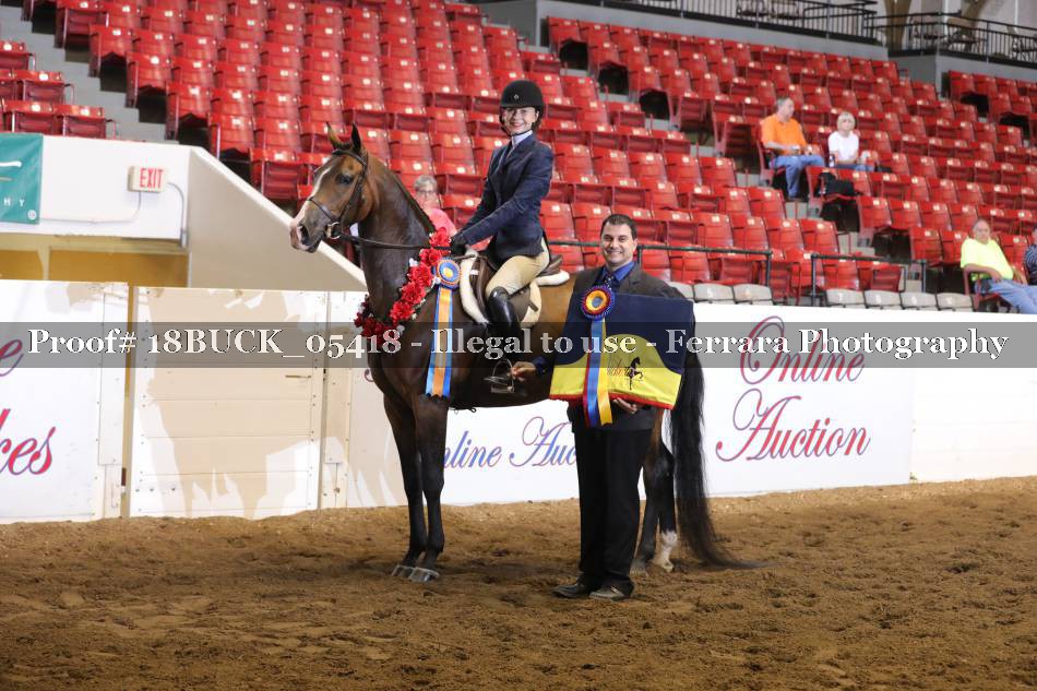 Proof 18BUCK_05418